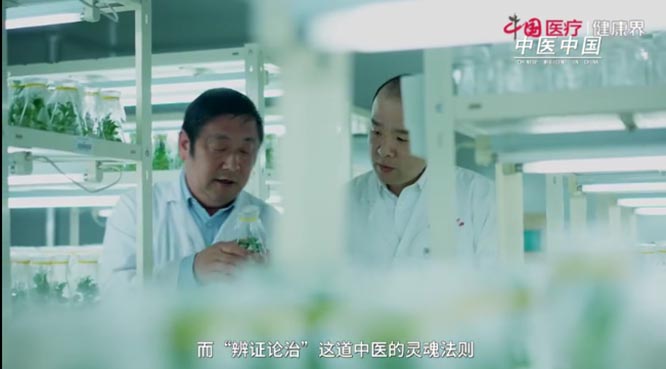 【健康中国-中医药】带你领略中医之美:《中医中国》第二集 灵魂 健康丝绸之路 健康中国 中医药 一带一路 【健康中国-中医药】带你领略中医之美:《中医中国》第二集 灵魂 健康丝绸之路 健康中国 中医药 一带一路