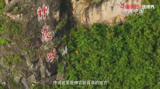 【健康中国-中医药】带你领略中医之美：《中医中国》第一集 根脉   健康中国  健康丝绸之路  中医药