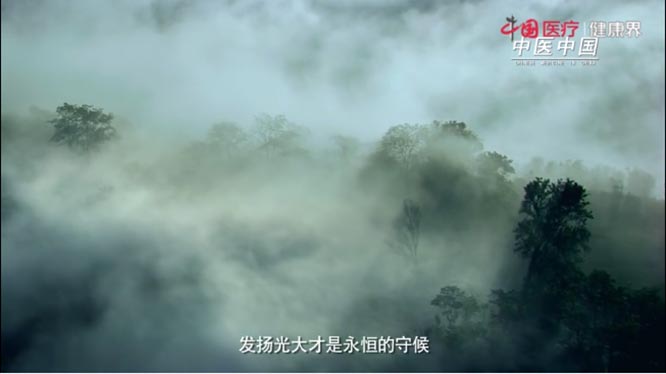 【健康中国-中医药】带你领略中医之美：《中医中国》第一集 根脉   健康中国  健康丝绸之路  中医药
