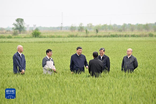 习近平在河北考察并主持召开深入推进京津冀协同发展座谈会  京津冀协同发展  一带一路