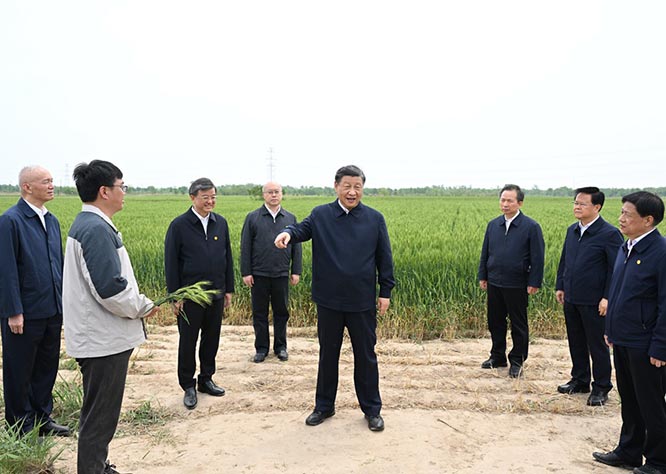习近平在河北考察并主持召开深入推进京津冀协同发展座谈会 京津冀协同发展 一带一路 习近平在河北考察并主持召开深入推进京津冀协同发展座谈会 京津冀协同发展 一带一路