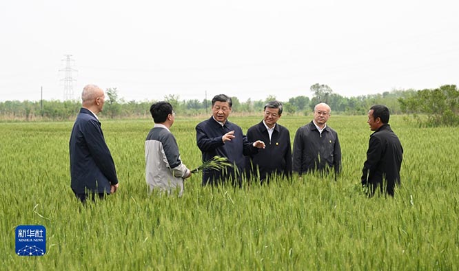 习近平在河北考察并主持召开深入推进京津冀协同发展座谈会  京津冀协同发展  一带一路