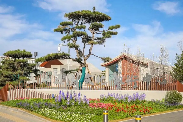 《宏观瞭望》栏目  第七集（1）【2025中关村论坛年会】北京市政协委员、非遗何式通络开结术代表性传承人何银萍：以新质生产力为指引，借助“一带一路”和AI技术，讲好中医药的出海故事 