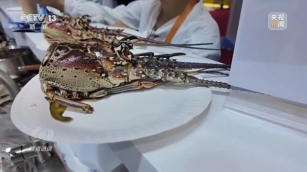 【《焦点访谈》 20251110】 共享大市场 共创新机遇——第八届进博会 第八届进博会 一带一路 【《焦点访谈》 20251110】 共享大市场 共创新机遇——第八届进博会 第八届进博会 一带一路