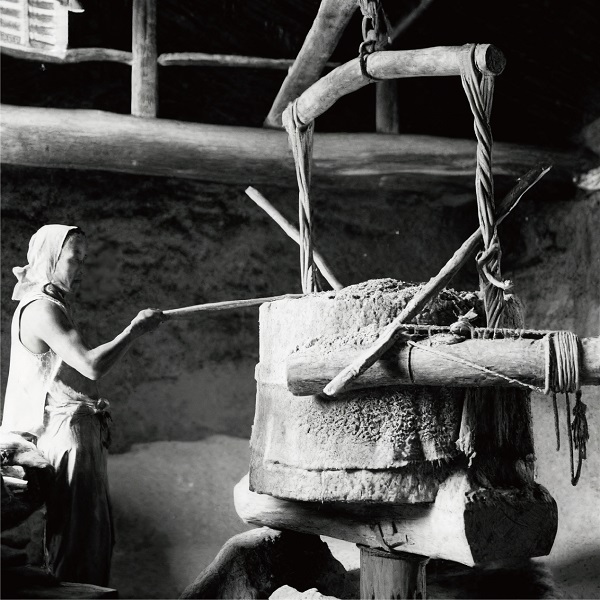 河北老子号——谷氏香 一带一路 丝路文化 非遗传承 老字号品牌 河北老子号——谷氏香 一带一路 丝路文化 非遗传承 老字号品牌