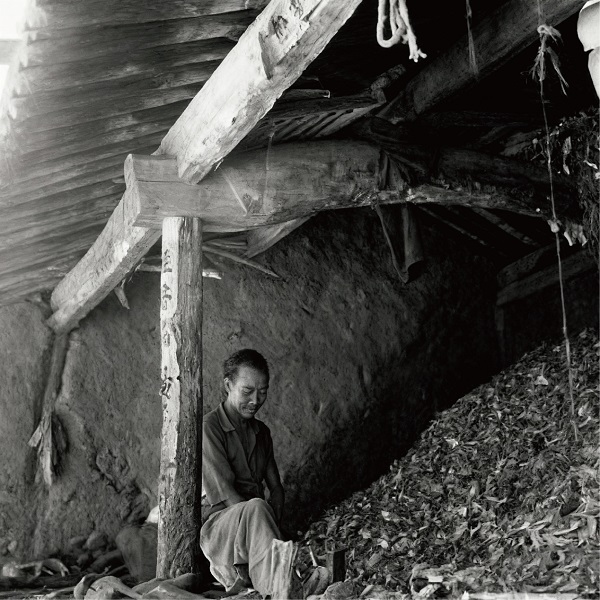 河北老子号——谷氏香 一带一路 丝路文化 非遗传承 老字号品牌 河北老子号——谷氏香 一带一路 丝路文化 非遗传承 老字号品牌