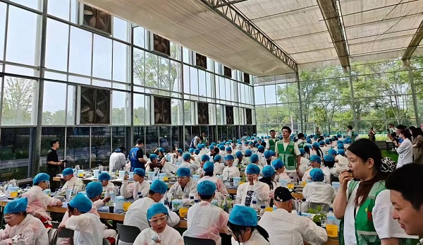 《合成生物学走进中学课堂，合肥“发光生物”研学课程受热捧》  一带一路  丝路文旅  神笔生物  研学课堂  合成生物学