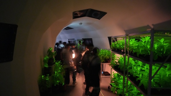 《合成生物学走进中学课堂，合肥“发光生物”研学课程受热捧》  一带一路  丝路文旅  神笔生物  研学课堂  合成生物学